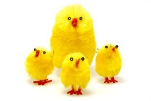 Easter Chicken Craft
