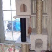 Homemade cat tree