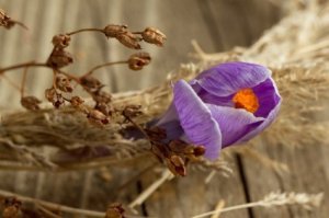 Dried Wreath With Crocus Flower
