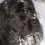 Newfoundland Breed Info