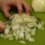 Chopping Onion