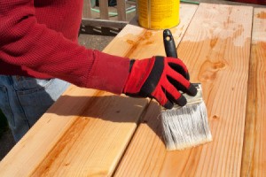 Staining Wood Panels of Garden Bed