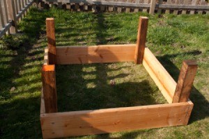 First Level of Panels
