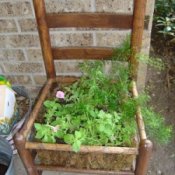 Chair planter