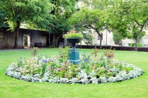Island Garden Bed