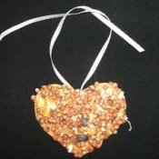 Earth Day bird biscuit