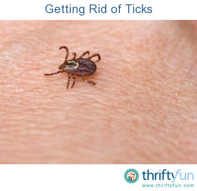 Getting Rid of Ticks