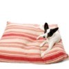 Dog on Homemade Pet Bed