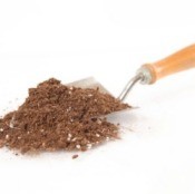 Hand Shovel with soil