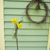 Recycled jar gaden vase on its own.