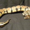 Tan, white, and black snake.