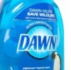 dawn for fleas