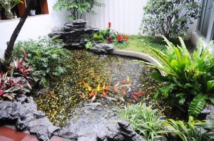 Controlling Algae in a Pond | ThriftyFun