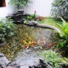 Controlling Algae in a Pond