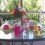 Garden Party Decorations