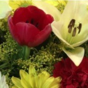 Flowers in Arrangement