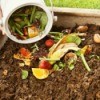 Compost Pile