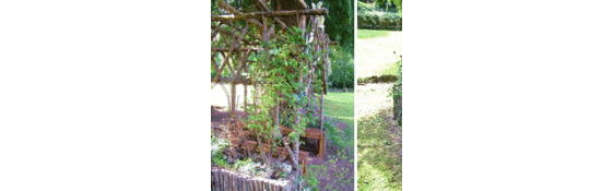 Arbor