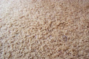 Cleaning Your Carpet Without a Machine