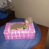 Barbie Bath Tub