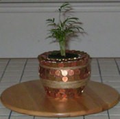 Penny pot