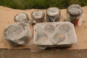 Hypertufa Pots Covered in Plastic