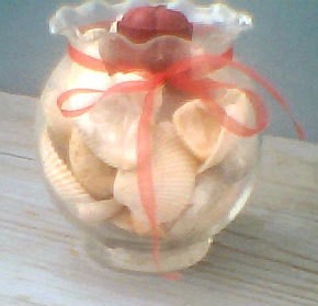 Glass bowl filled with sea shells.