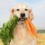 Healthy Dog Treats