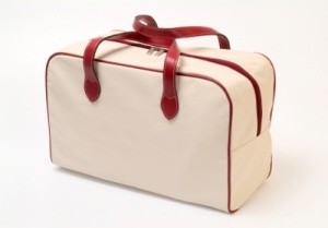 A bag of travel basics