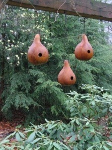 Birdhouse made from gourds.