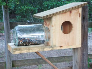 Homemade Bird Feeders