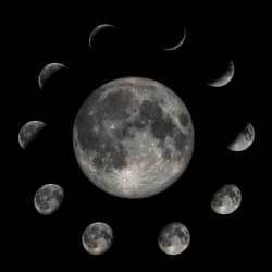 Lunar Gardening Basics