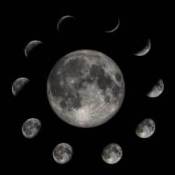 Lunar Gardening Basics