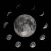 Lunar Gardening Basics