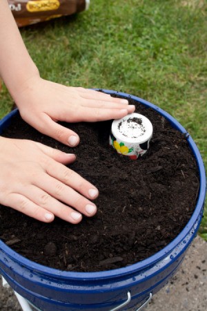 Adding Potting Soil to Bucket