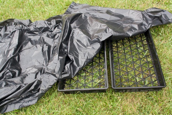 Easy Concrete Stepping Stones