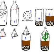 Bottle Green House Craft