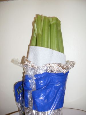 Store celery in aluminum foil