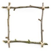 Crafts Using Tree Branches