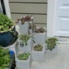 Cinder Block Planter