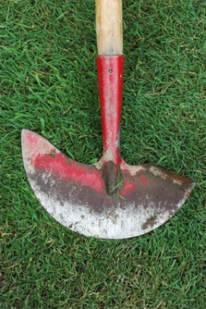 Photo of a lawn edger.