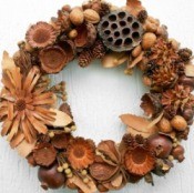 Craft Ideas Using Things Found in Nature