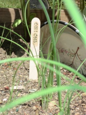 Markers in Garden