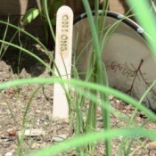 Markers in Garden