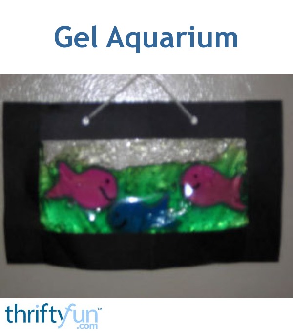 gel saga aquarium