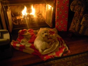 Angel in front of the fireplace.