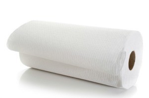 Saving Money on Paper Towels