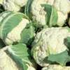 Cauliflower