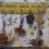 Finished project with dried flowers hanging from pegs. 
