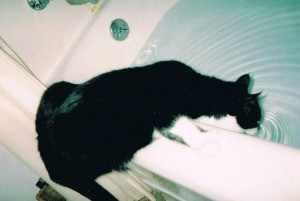 Jake drinking out of bathtub.
